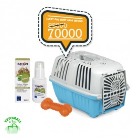 Every Dog Must have his Day Every Dog Must have his Day