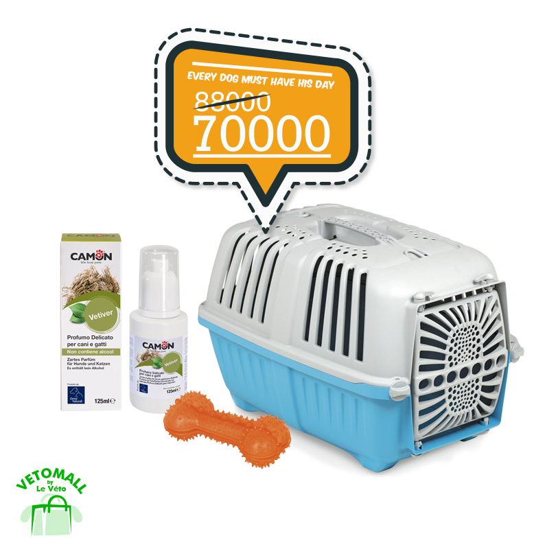 Every Dog Must have his Day