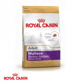 Royal Canin Maltese Dog 1.5KG