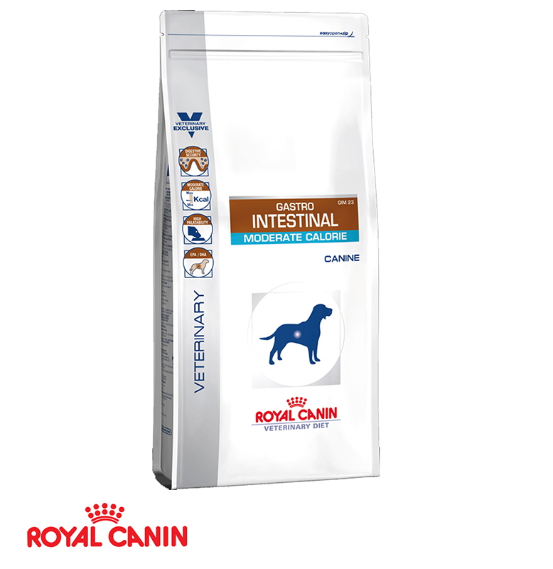 royal canin gastro intestinal dog food 14kg
