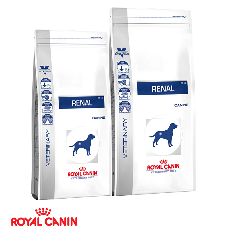 royal canin hepatic 10 kg