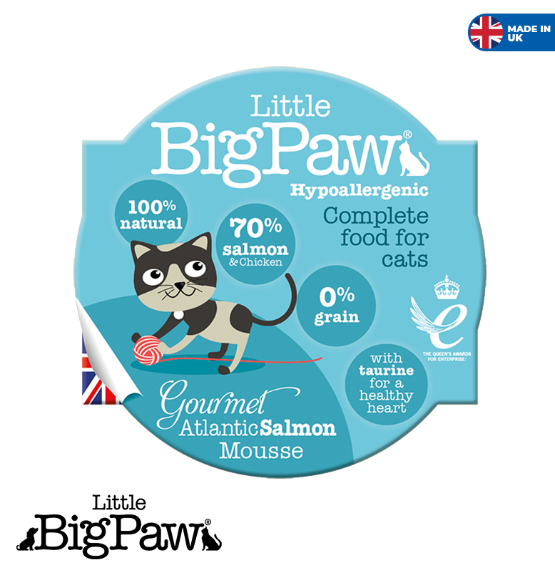 Big Paw Salmon 85gr
