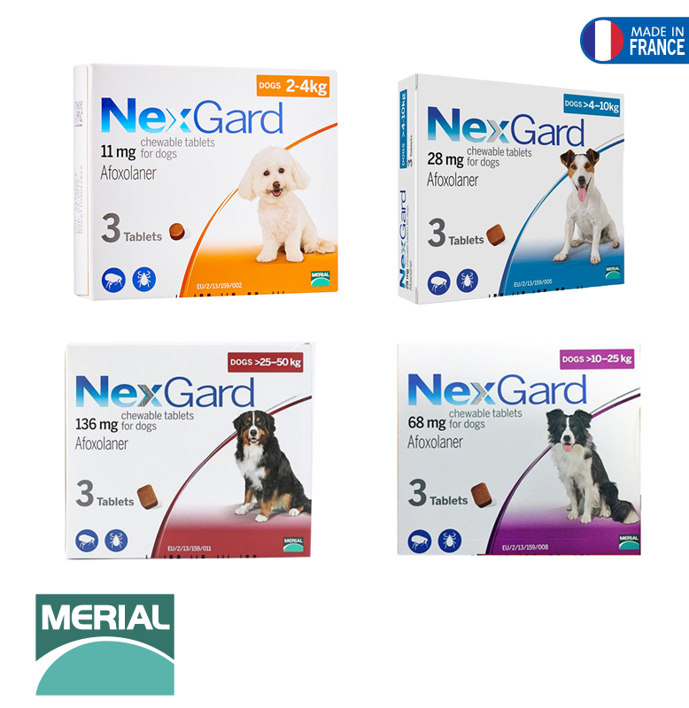 What Is Nexgard For Dogs PetsWall