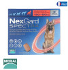 NEXGARD SPECTRA DOG XL 30-60KG 3 CHEW*1