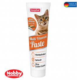 Multi Vitamin Paste Cat 100g