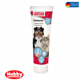 Toothpaste 100g