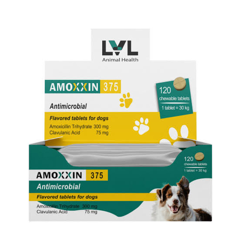 AMOXXIN 375MG/TABLET