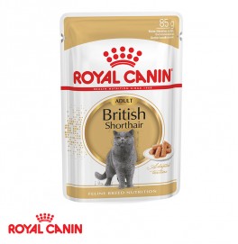 Royal Canin British Shorthair in Gravy 85GR