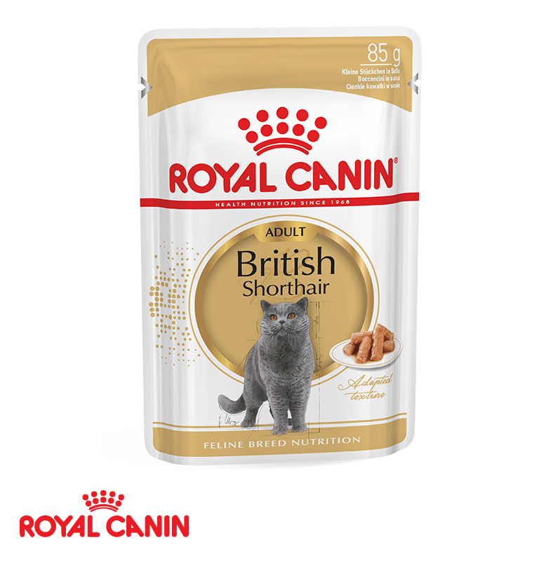 Royal Canin British Shorthair in Gravy 85GR