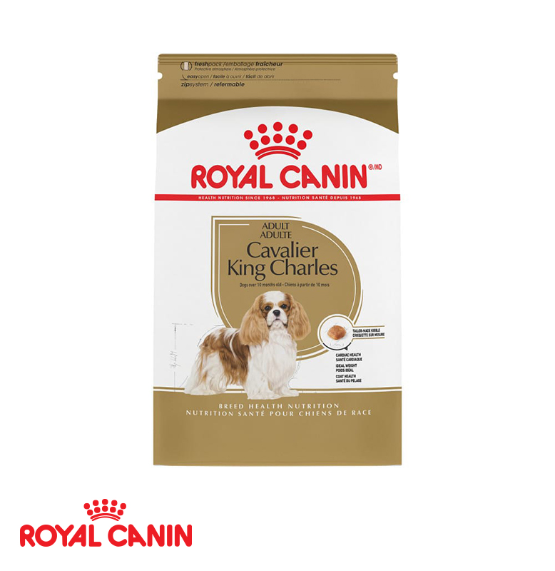 royal canin springer spaniel