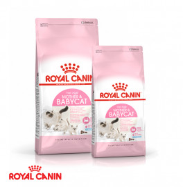 Royal Canin Baby Cat 2KG/4KG