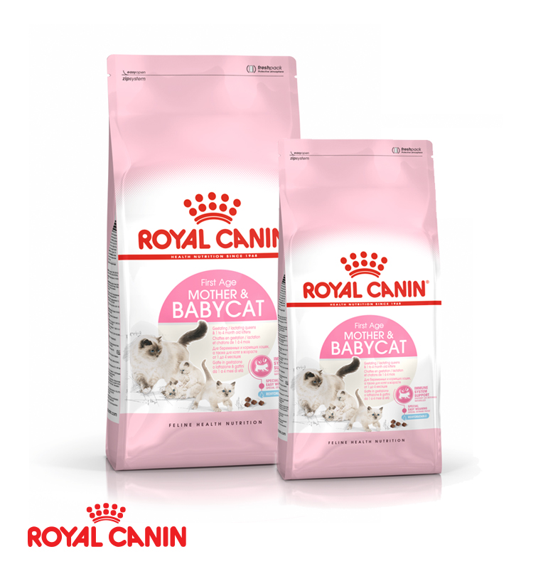 Royal Canin Baby Cat 2KG/4KG