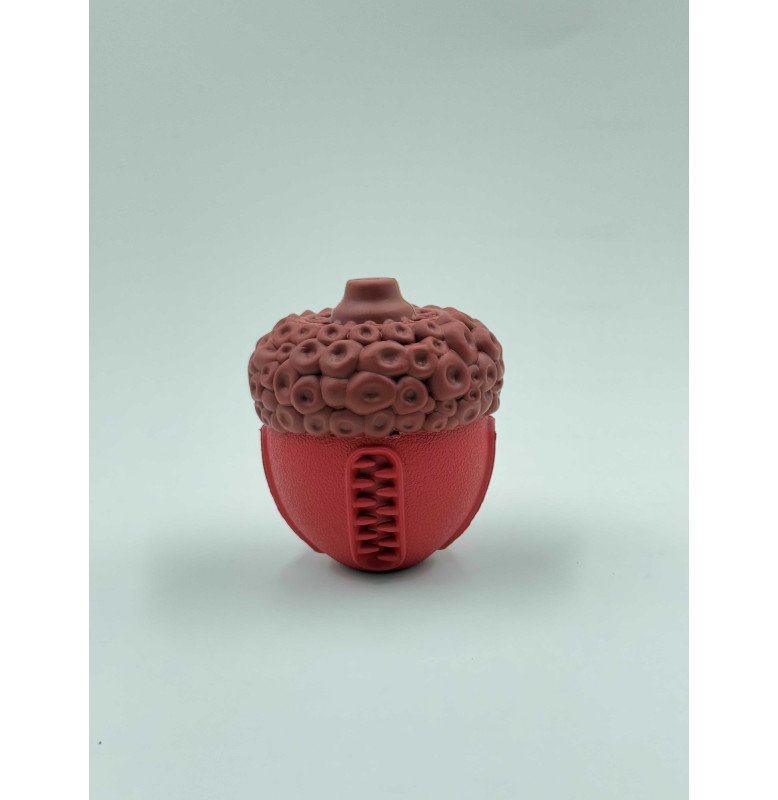 THE SUCCULENT HAZELNUT SQUEAKY & CHEW DOG TOY-85*85*98MM 274GR