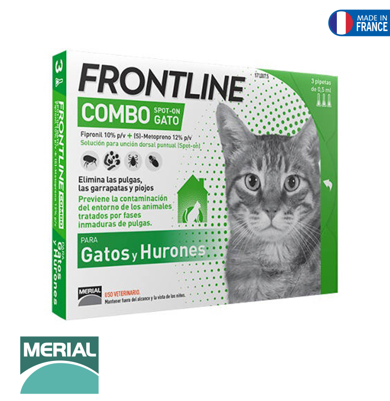 FRONTLINE COMBO CHAT